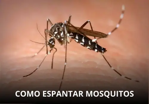 Espantar mosquitos com aplicativo